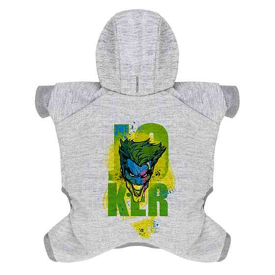 Комбинезон для собак WAUDOG Clothes рисунок 