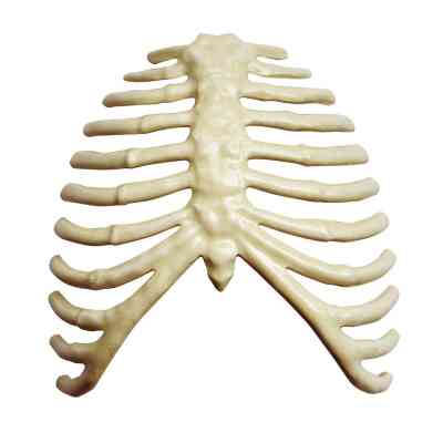 Пазл 4D Master Горила (FM-622012) Винница