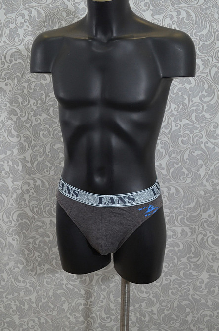 Труси чоловічі бавовна Спорт (2 шт.) Lans 03/034 XL, Коричневий Київ - фото 1