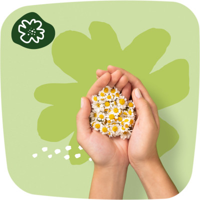 Гигиенические прокладки Naturella Classic Normal (Размер 2) 18 шт. (8001090850638) Винница - изображение 7