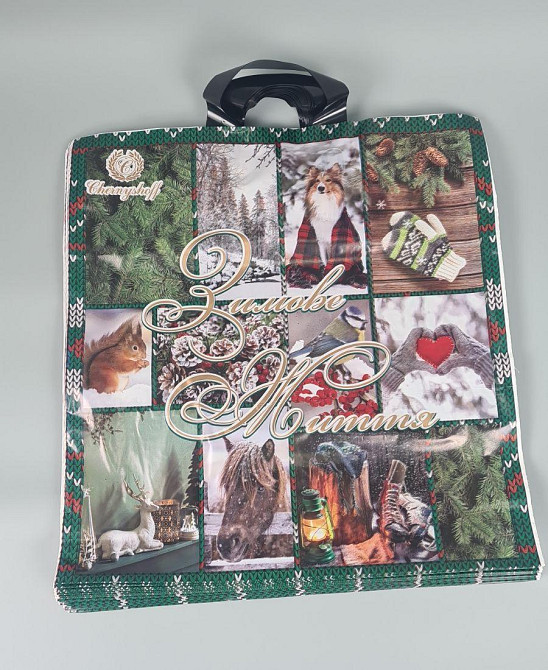 Пакет с петлевой ручкой 40*42ВТ Н.Год 