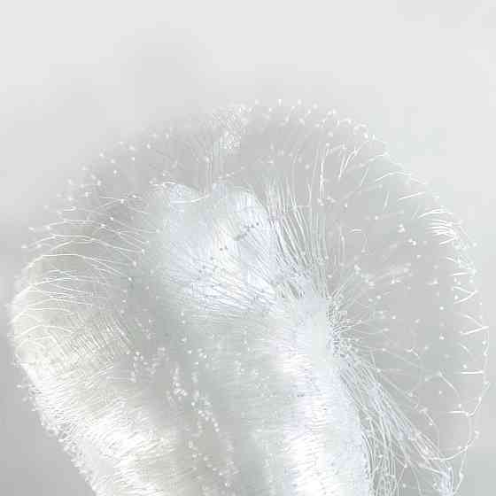 Сітка від птахів 20*20 комірка 5м*10м Дніпро