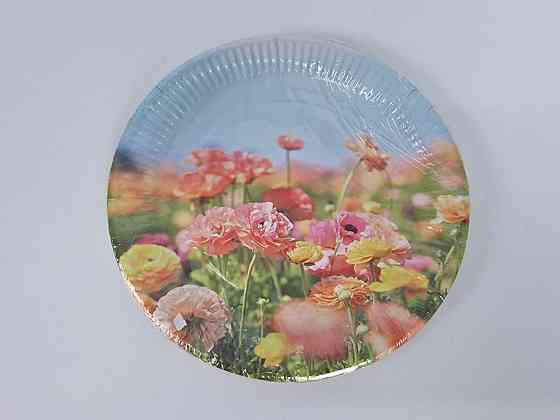 Тарілка паперова 23 см "No65 10 шт (1 пачка) Харків