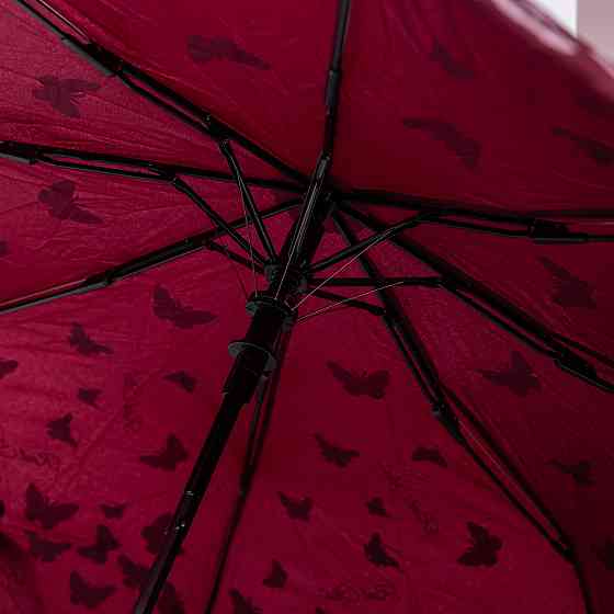 Полуавтоматический зонт с принтом, красный, 97 см Киев