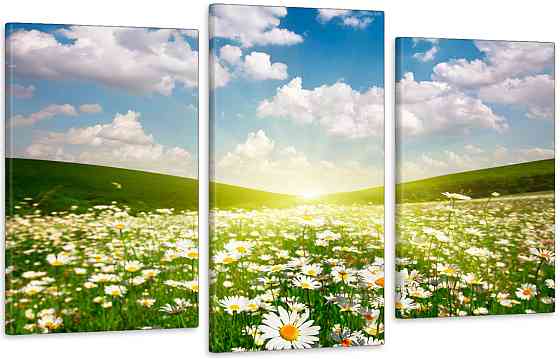 Модульна картина у вітальню/ спальню Сонце в ромашках Art-536_3 100x150 см Київ