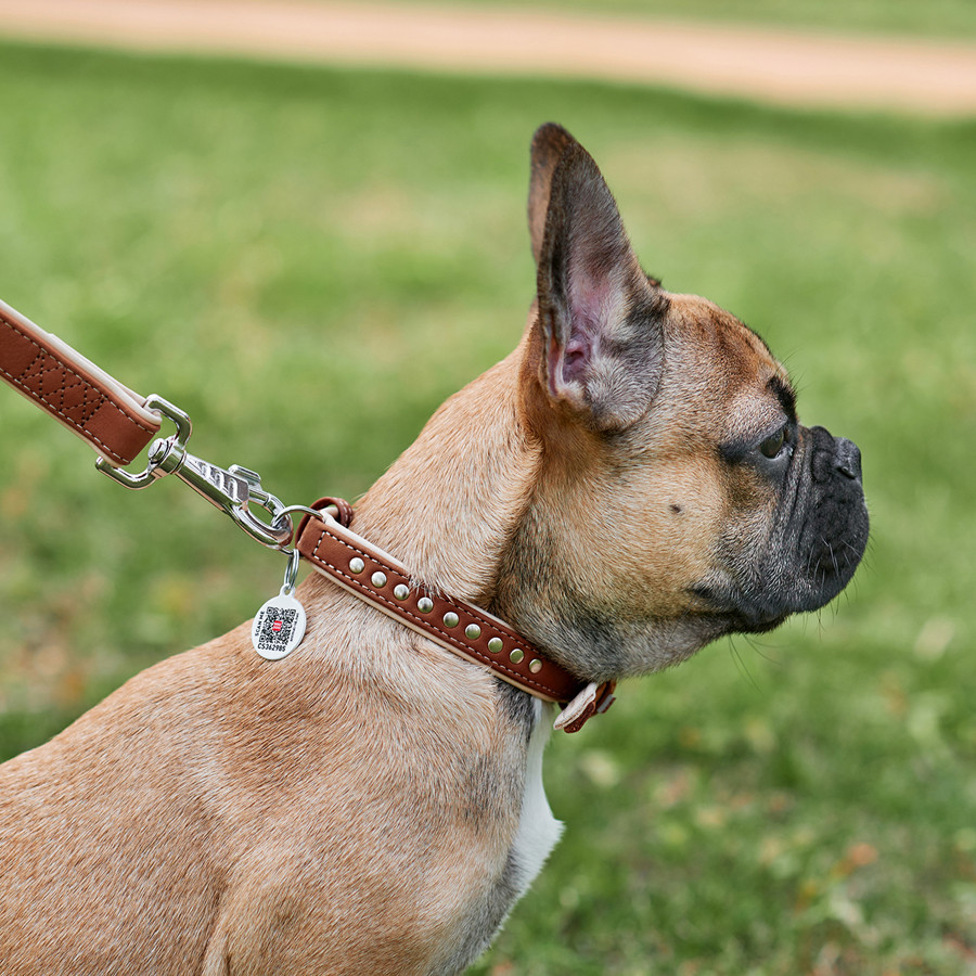 Нашийник для собак шкіряний WAUDOG Soft з QR паспортом, металічні прикраси, Ш 20 мм, Дов 30-39 Коломыя - изображение 4