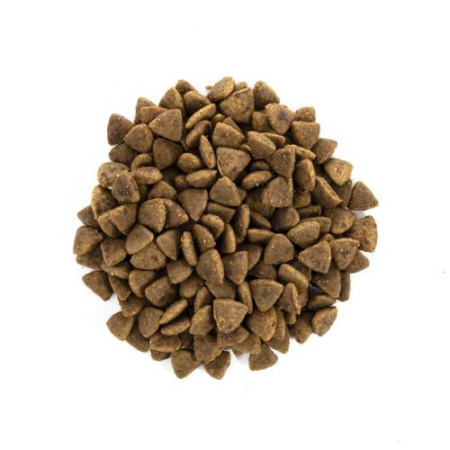 Корм сухой Brit Care Cat Grain Free Adult Activity Support для уличных и взрослых кошек филе индейки и курицы 2 кг Киев - изображение 2