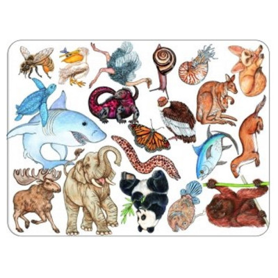 Розвиваюча іграшка Djeco Занималка (DJ05153) Вінниця - фото 2