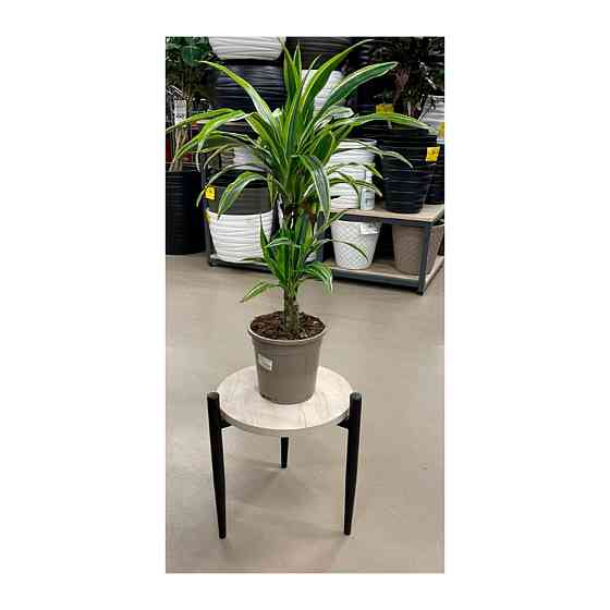 Подставка для цветов Richman Цветочник маленькая Киев