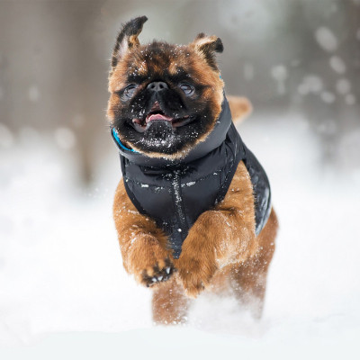 Курточка для животных Airy Vest двусторонняя XS 22 чёрно-голубая (1713) Винница - изображение 4