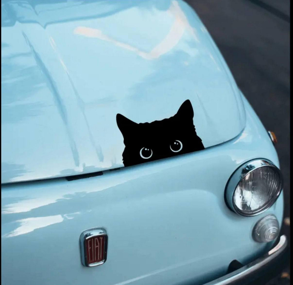 Виниловая наклейка чёрный кот выглядывающий для авто и ноутбука Киев - изображение 6