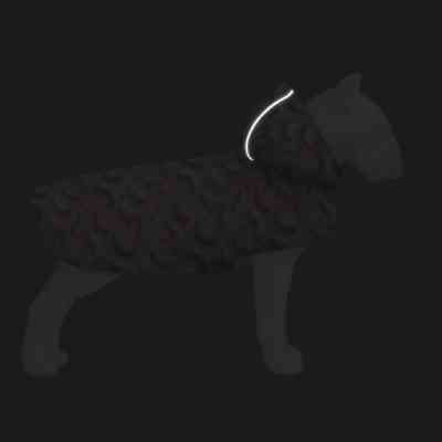 Дождевик для животных WAUDOG Clothes Накидка с капюшоном Бананы на розовом XXS (354-4055) Винница