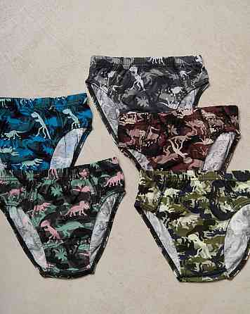 Підліткові труси на хлопчика — Динозаври (5 шт. в уп) Nicoletta 41717 10-11 Київ