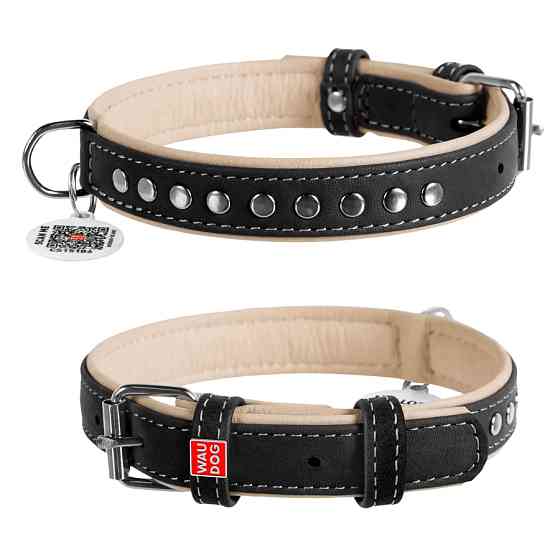 Нашийник для собак шкіряний WAUDOG Soft з QR паспортом, металічні прикраси, Ш 20 мм, Дов 30-39 Коломия