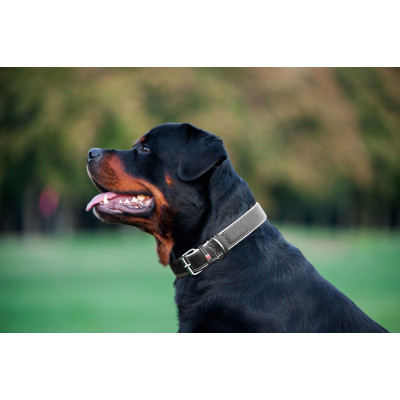 Ошейник для животных WAUDOG Soft с QR паспортом M Ш 25 мм Д 38-49 см черный (7202) Винница - изображение 6