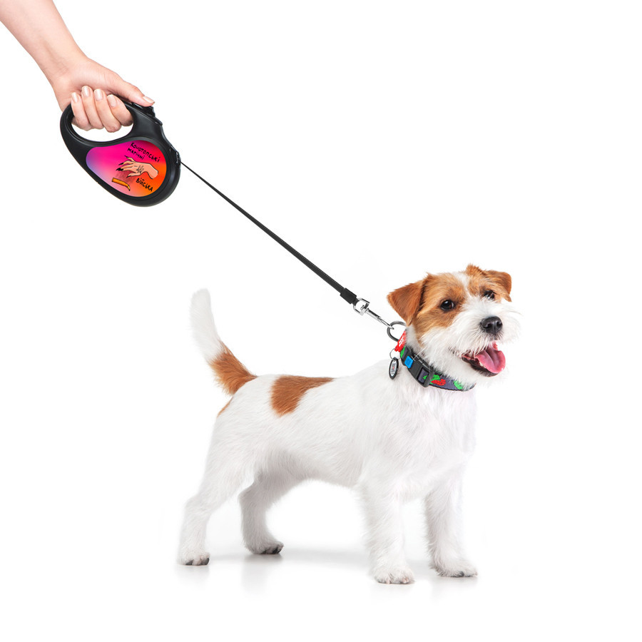 Повідець-рулетка для собак WAUDOG R-leash, малюнок "Конотопські магічні війська", M, до 25 кг, 5 м, Вінниця - фото 8