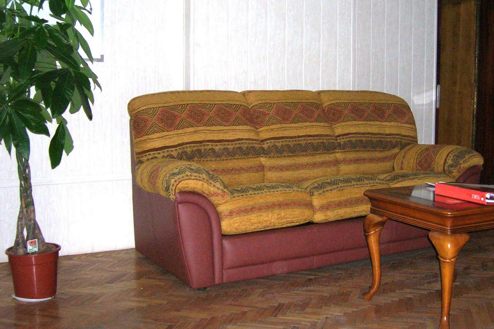 Диван шкіряний (кожаный) розкладний модель 303 LUXOR Ужгород - изображение 3