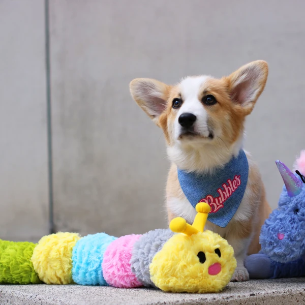 Іграшка для собак Patchwork Pet Caterpillar (Печворк Пет Гусениця) Запоріжжя - фото 5