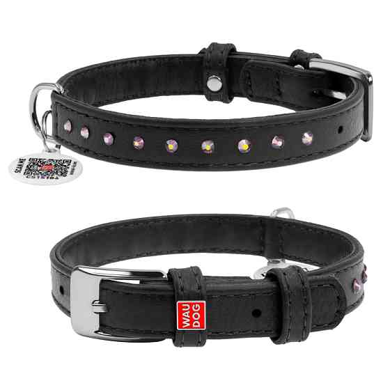 Нашийник для собак шкіряний WAUDOG Glamour з QR паспортом, з клейовими стразами, Ш 12 мм, Дов 2 Коломия