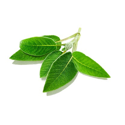 БИО-Паста зубная травяная Мята без фтора SANTE 75 мл Киев - изображение 2