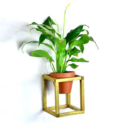 Полиця настінна для квітів "Орізонті model B" каррі Миколаїв - фото 1