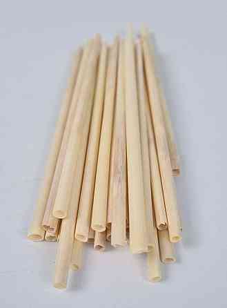 Соломка трубочка екологічна "Пшениця" 14 см (100 шт.) діаметр 2-4 мм (1 пачка) Харків