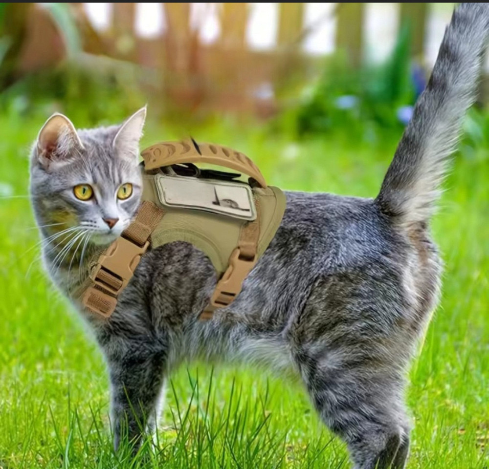 Тактична шлейка для собачок і кішок One Size хакі Київ - фото 1