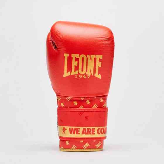 Боксерські рукавиці Leone GN220 DNA Red 10 унцій Київ