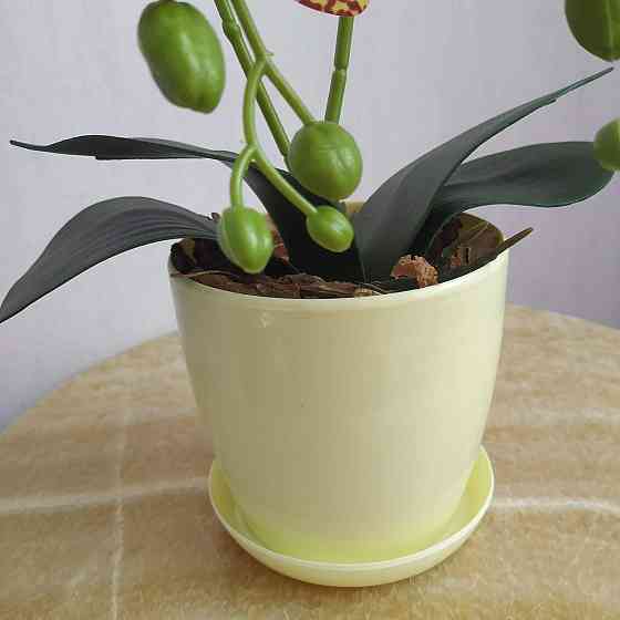 Штучна латексна міні орхідея в жовтому пластиковому кашпо на дві гілки жовто-бордова Дніпро