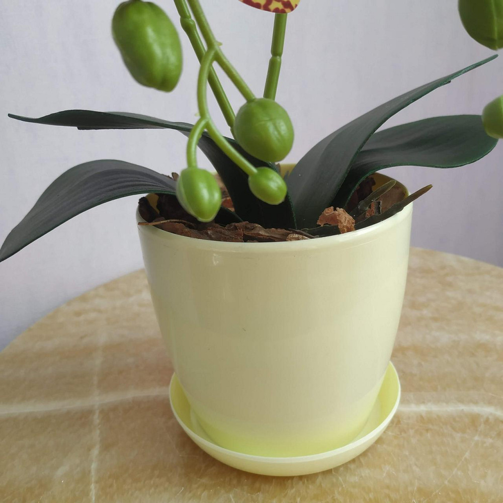 Штучна латексна міні орхідея в жовтому пластиковому кашпо на дві гілки жовто-бордова Дніпро - фото 4