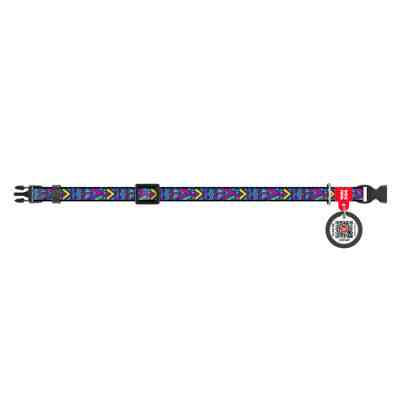 Нашийник для тварин WAUDOG Nylon з QR паспортом "Інді" пластиковий фастекс XS (5228) Вінниця