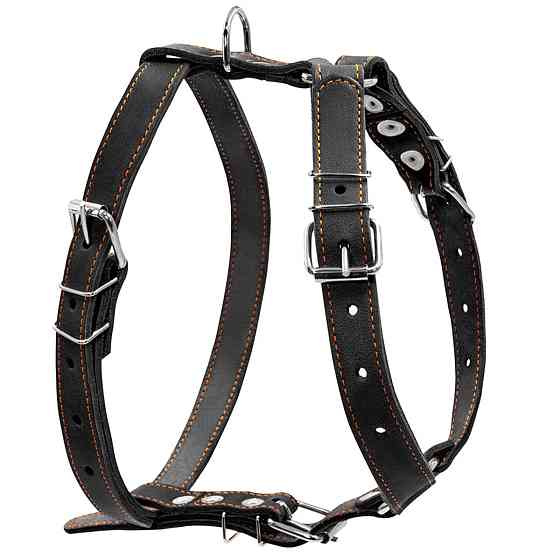 Шлея "CoLLaR" одинарна для середніх собак (ширина 25мм, А:49-68см, В:68-80см) чорний Київ