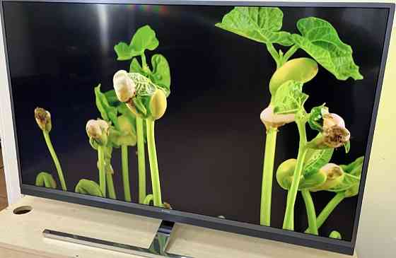 Телевизор Philips 49