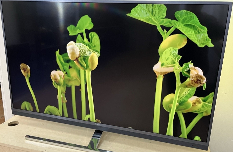 Телевизор Philips 49