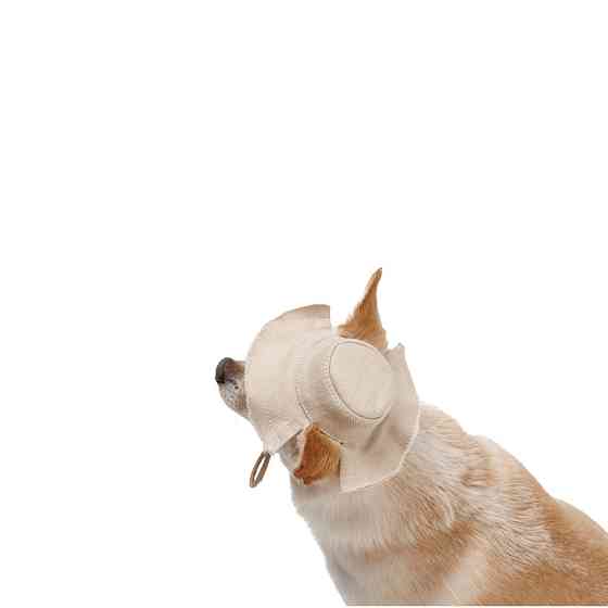 Панама Pet Fashion Gold для собак XS Київ