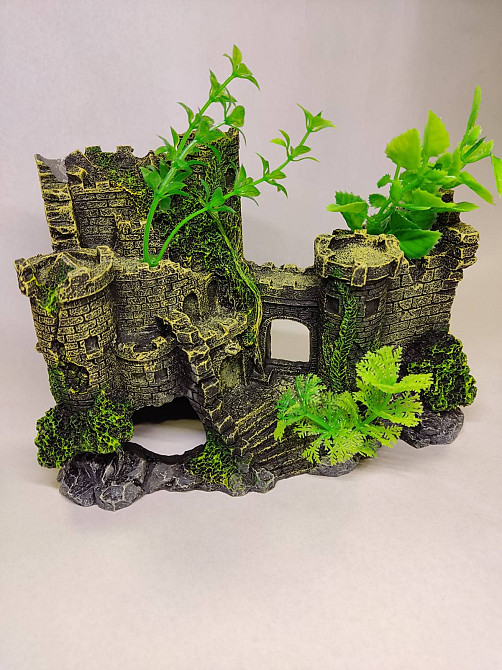 Декор в акваріум від 10см 17082 Луцьк - фото 1