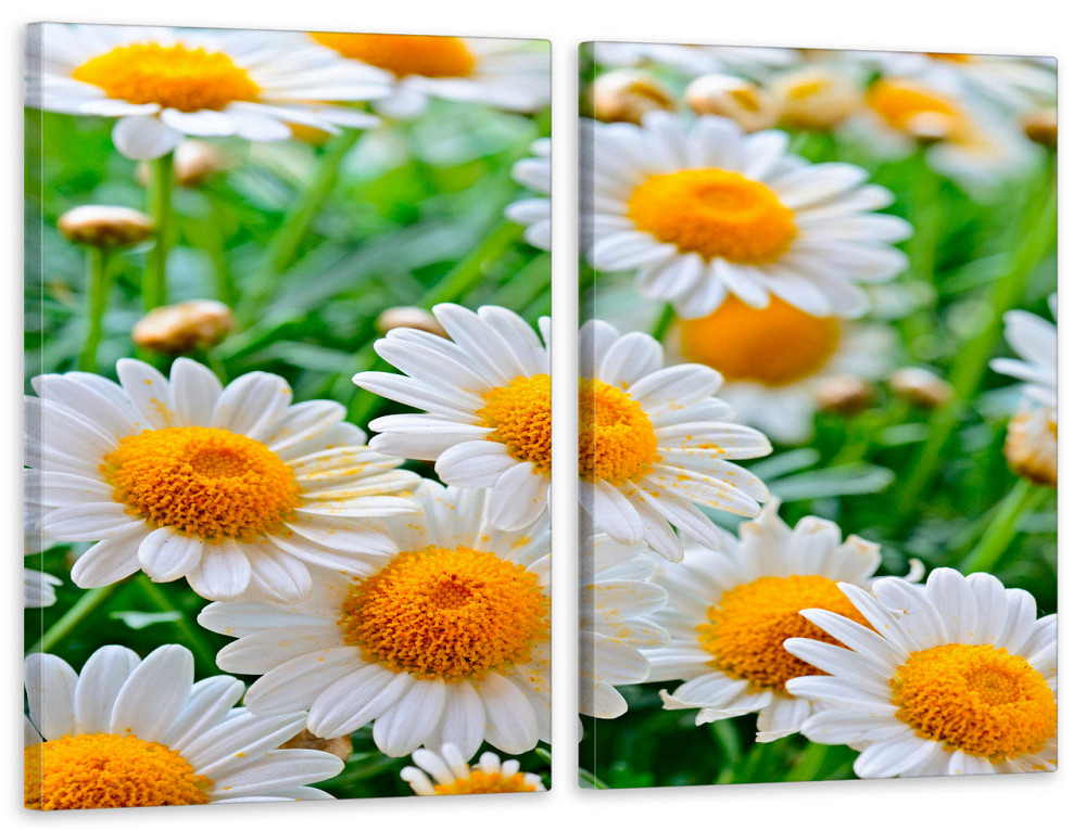 Модульная картина в гостиную / спальню Квіти Ромашки TLV-2_038 70x102 см Киев - изображение 1