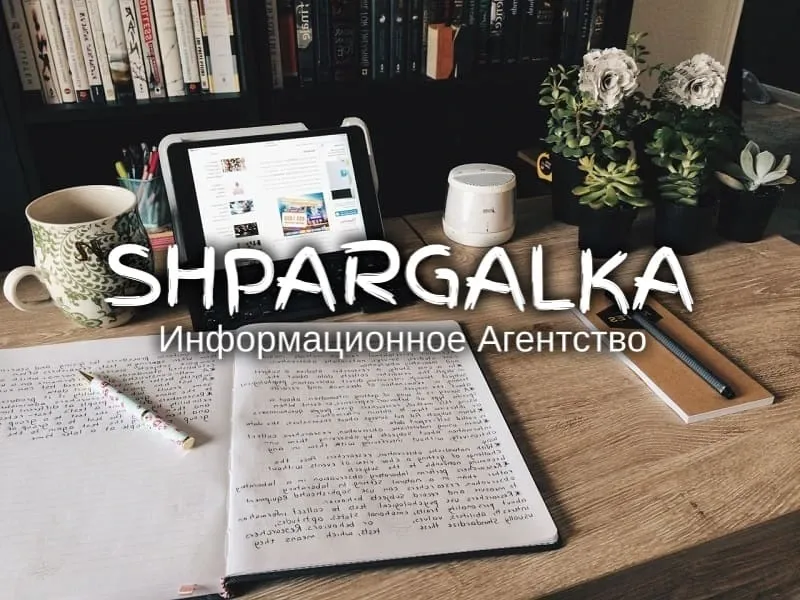 Разработка стартап-проекта для дипломной работы на заказ в Украине Днепр - изображение 1