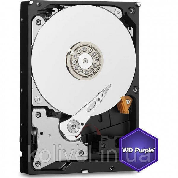 HDD 1000Gb, 5400rpm, WD Purple, 64M, SATA III (WD11PURZ) (WD11PURZ) Київ - фото 2
