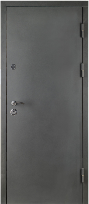 Дверь входная Артиз ТИТАН Плюс RAL G1450 860х1900 мм Киев - изображение 1