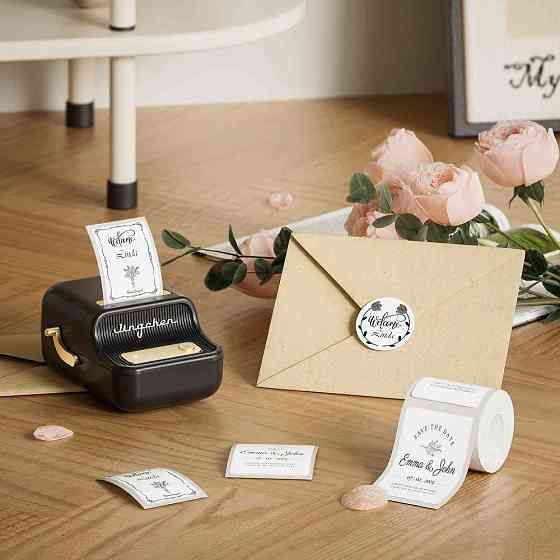 Термопринтер для наклеек NIIMBOT B21S черный Киев