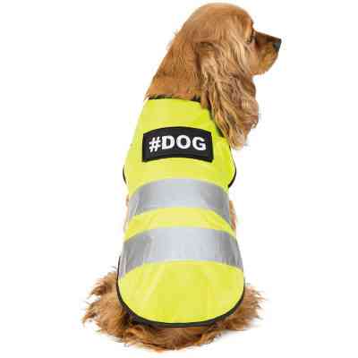 Жилет для животных Pet Fashion "Yellow Vest" S (4823082417186) Винница