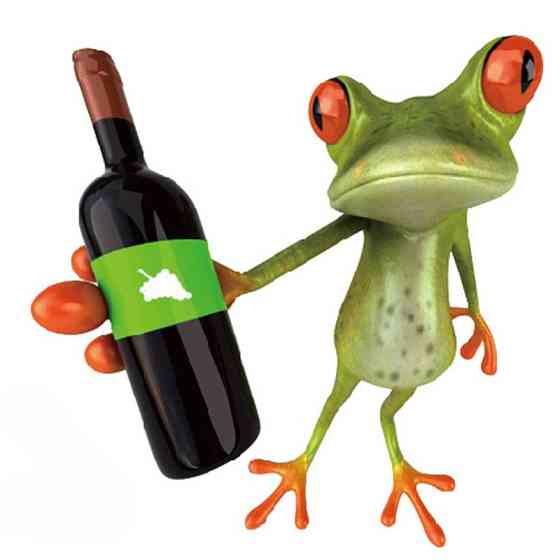 Наклейка Лягушка с бутылкой 17 на 17 см разноцветный Киев