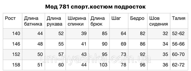 Підлітковий спортивний костюм 140-158 Кривий Ріг - фото 2