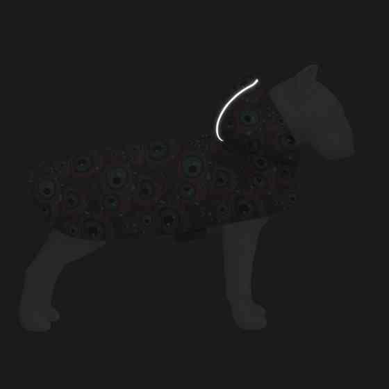 Дощовик-накидка з капюшоном для собак WAUDOG Clothes, малюнок "Око монстра", XS, А 26-29 см, B Коломыя