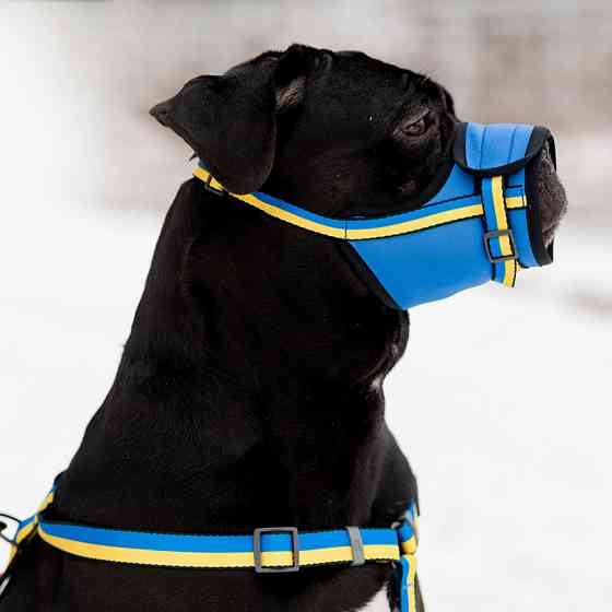 Намордник для собак WAUDOG Nylon, рисунок 