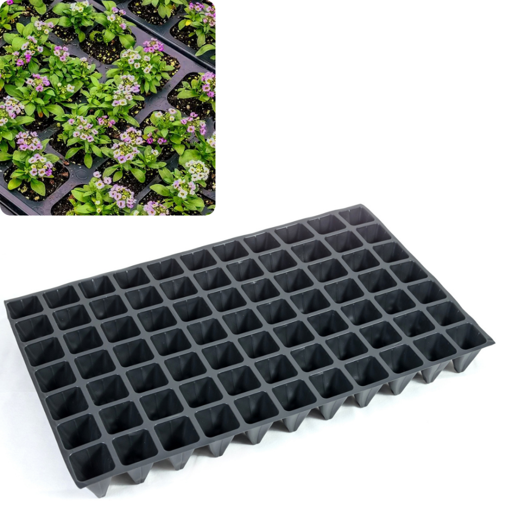 Касета для розсади 60*40 см 77 комірки Дніпро - фото 1