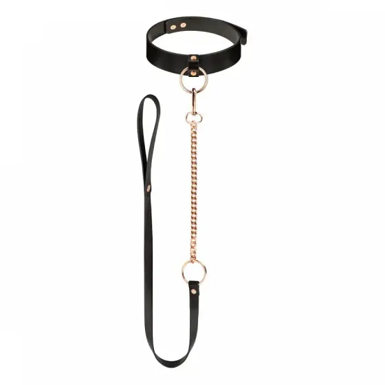 Нашийник з повідцем Rosy Gold - Collar with Leash - Black Львів