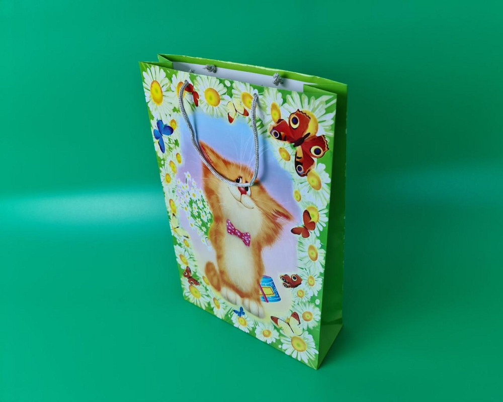 Большой бумажный пакет вертикальный  25/37/8(артBV-041) (12 шт) Харьков - изображение 1