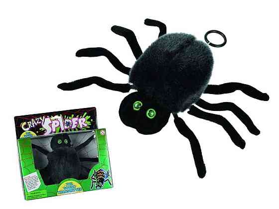 Божевільний павук з блискучими очима Рівне